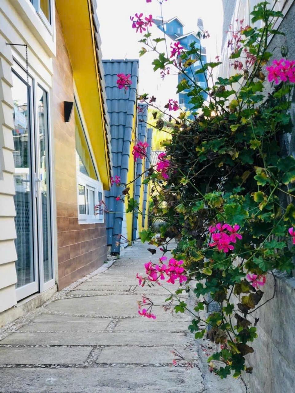 La Nha Homestay دالات المظهر الخارجي الصورة
